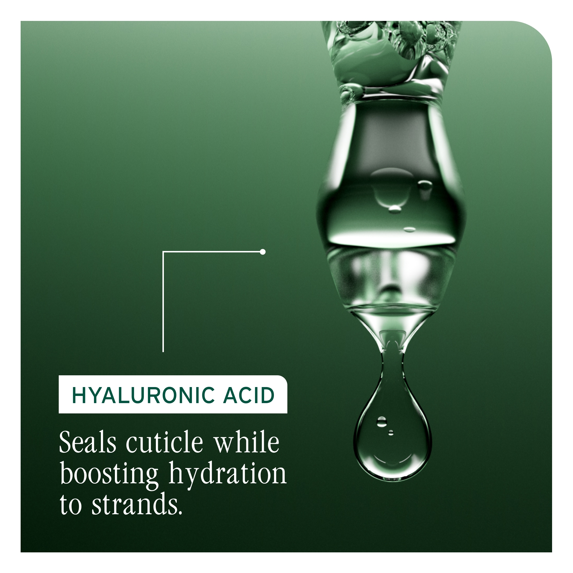 BIOLAGE Hydra Source Detangling Solution