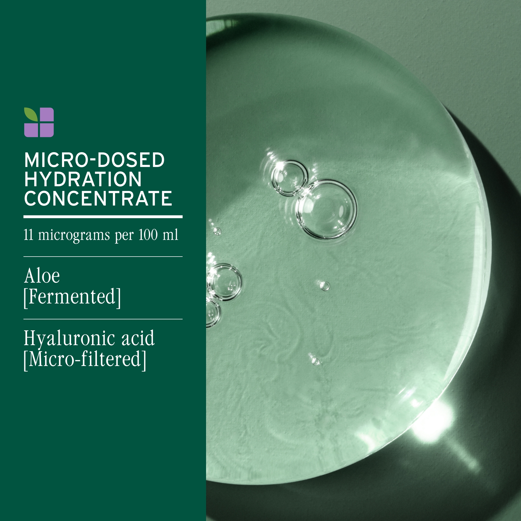 BIOLAGE Hydra Source Detangling Solution