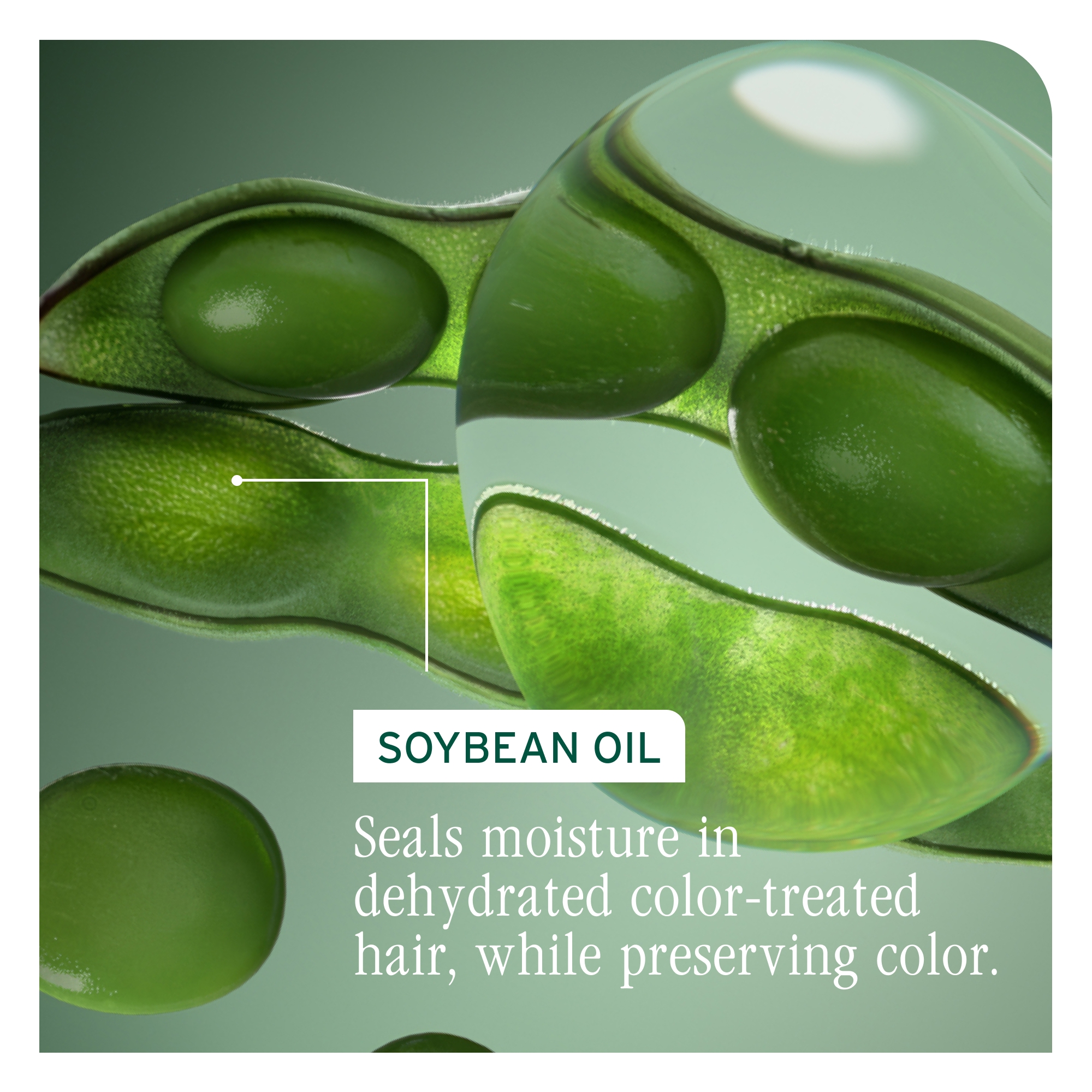 BIOLAGE Color Last Shampoo