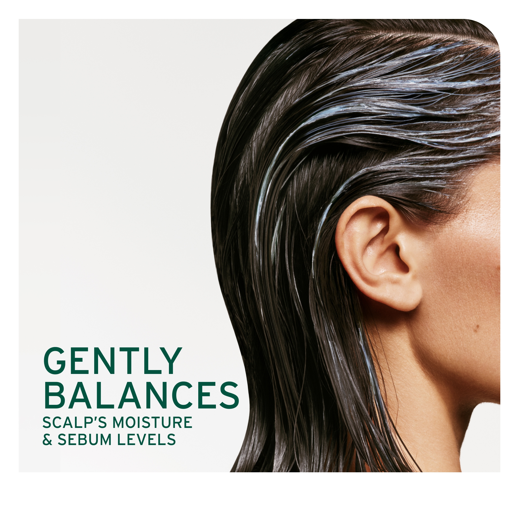 BIOLAGE Scalp Sync Anti-Dandruff Shampoo for Dandruff-Prone Scalp