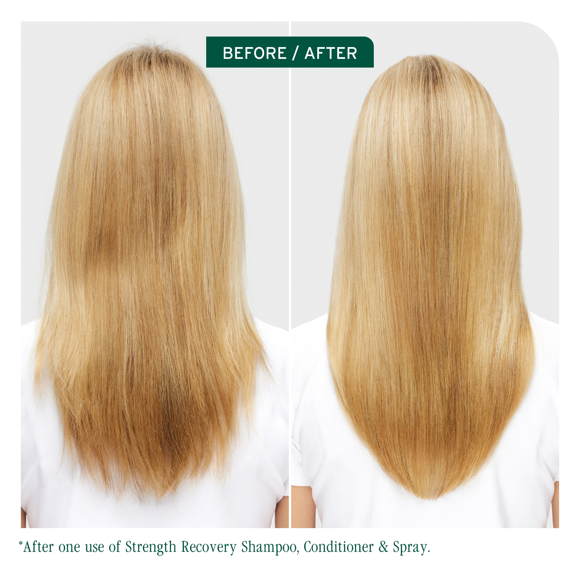 BIOLAGE Strength Recovery Conditioning Cream