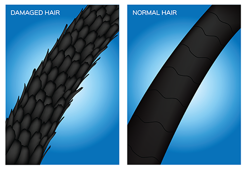 Cutcile, Damage, Colour, Healthy