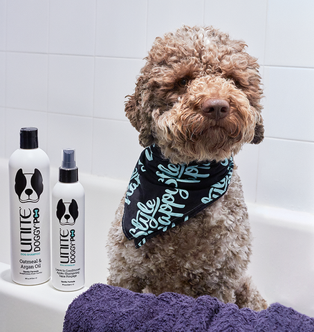 Dog Conditioner